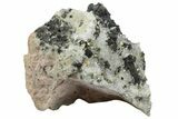 Chalcopyrite, Pyrite, Sphalerite and Quartz Association - Peru #173413-2